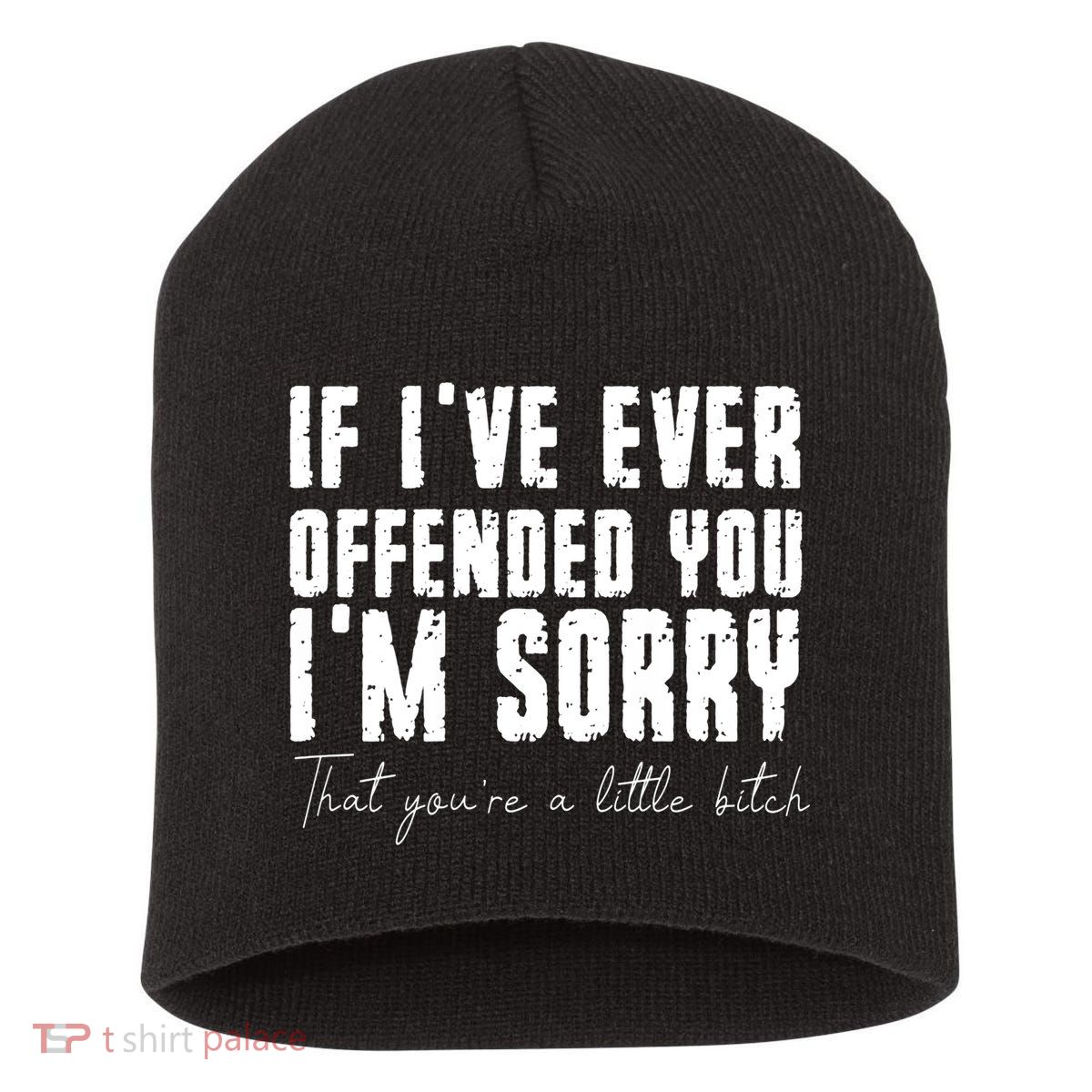 If Ive Ever Offended You Im Sorry That You Are A Short Acrylic Beanie