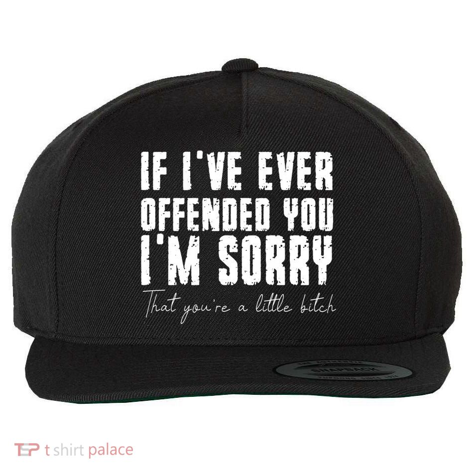 If Ive Ever Offended You Im Sorry That You Are A Wool Snapback Cap