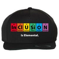 Inclusion Is Elemental Wool Snapback Cap