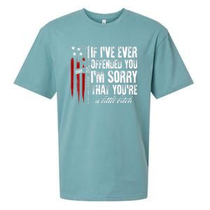 If I've Ever Offended You I'm Sorry American Flag Sueded Cloud Jersey T-Shirt