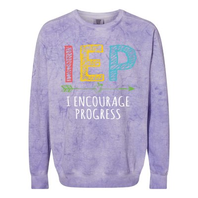 Iep I Encourage Progress Chalk Special Education Teacher Great Gift Colorblast Crewneck Sweatshirt