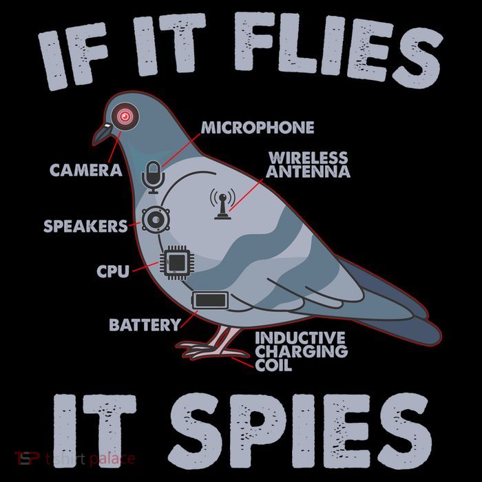 If It Flies It Spies 7-Panel Snapback Hat