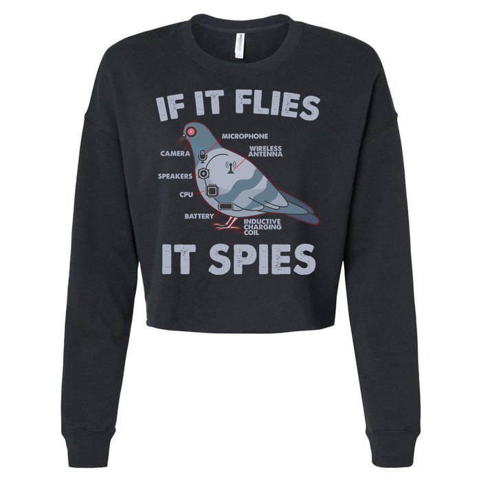 If It Flies It Spies Cropped Pullover Crew