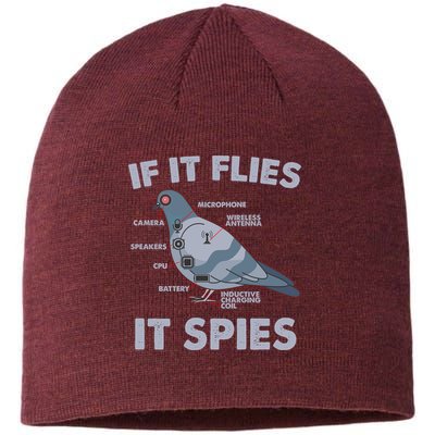 If It Flies It Spies Sustainable Beanie