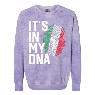 Italy Italian Flag Heritage Colorblast Crewneck Sweatshirt