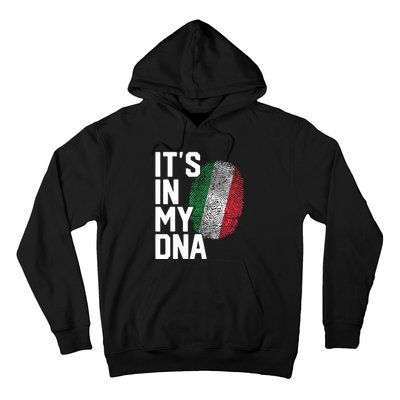 Italy Italian Flag Heritage Hoodie