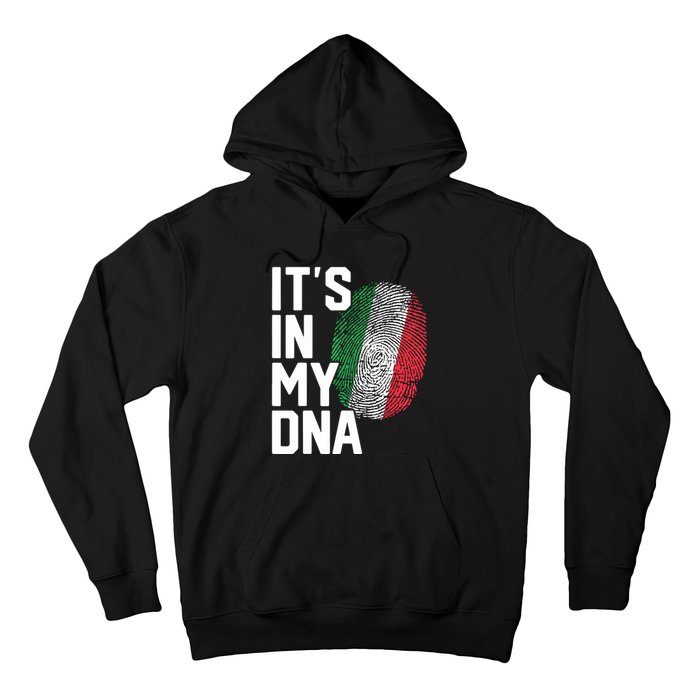 Italy Italian Flag Heritage Hoodie