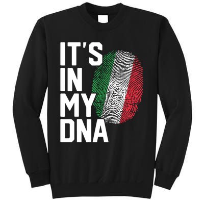 Italy Italian Flag Heritage Sweatshirt