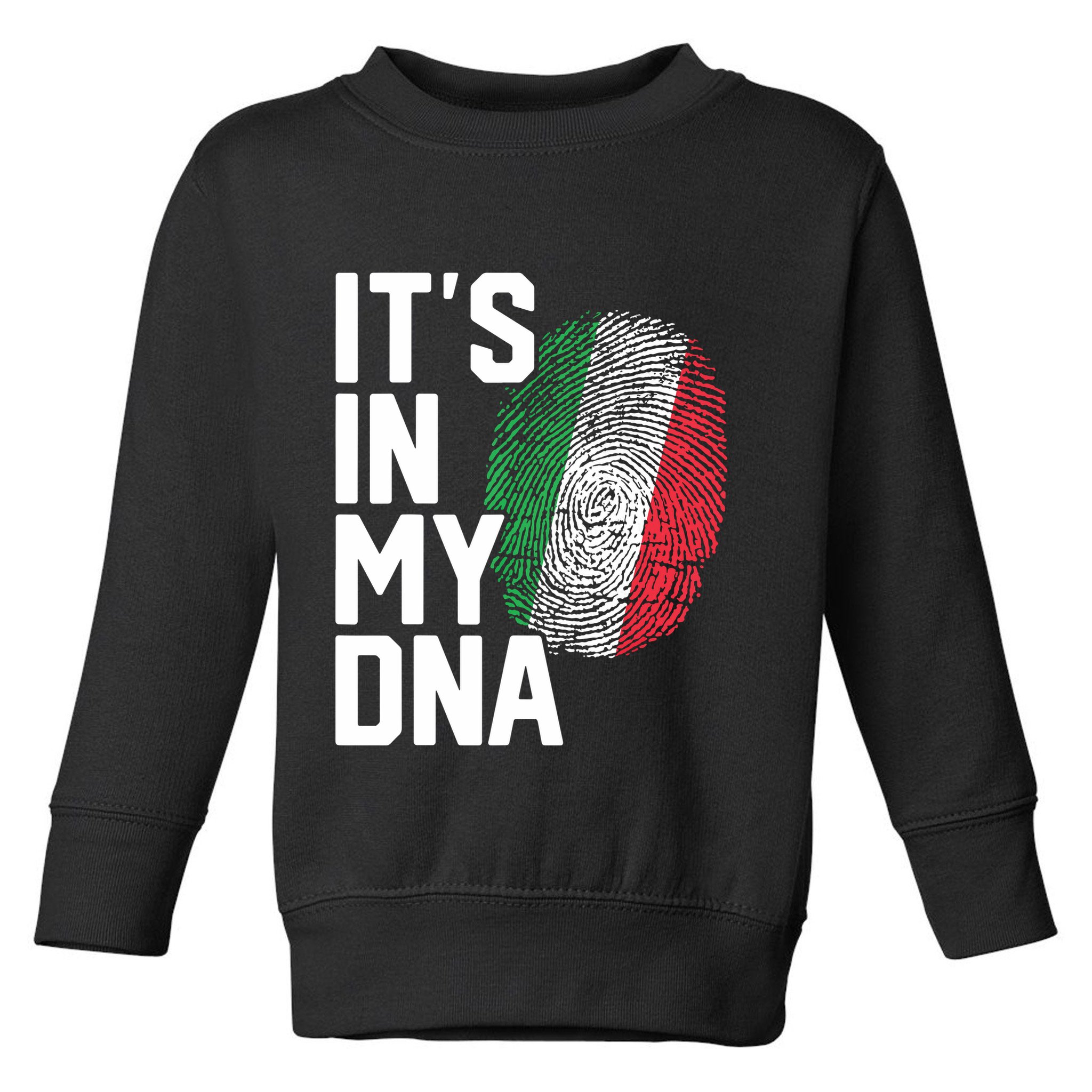 Italy Italian Flag Heritage Toddler Sweatshirt