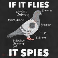If It Flies It Spies Pigeon Whisperer Birdwatching 7 Panel Mesh Trucker Snapback Hat