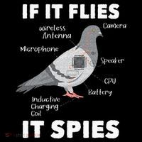 If It Flies It Spies Pigeon Whisperer Birdwatching Drawstring Bag