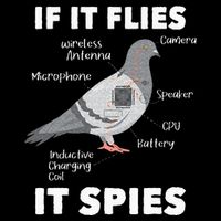 If It Flies It Spies Pigeon Whisperer Birdwatching Cooling Performance Long Sleeve Crew