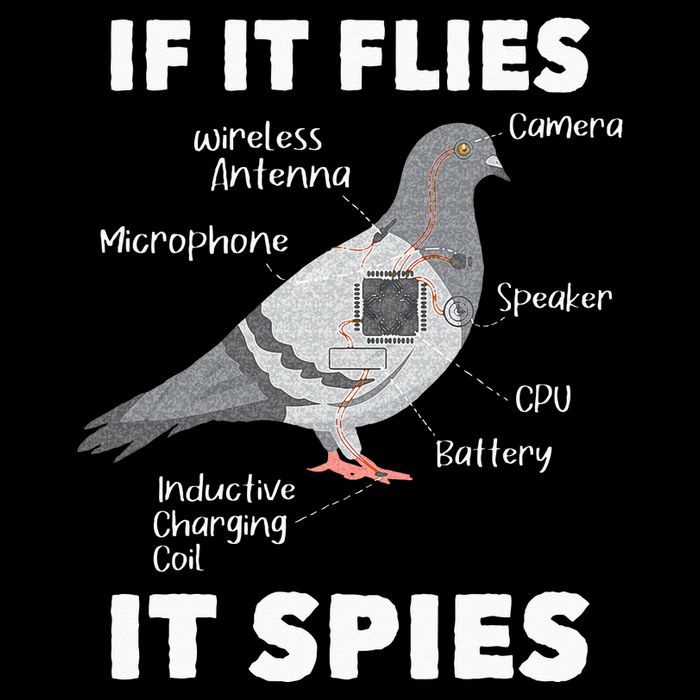 If It Flies It Spies Pigeon Whisperer Birdwatching Cooling Performance Long Sleeve Crew