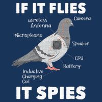 If It Flies It Spies Pigeon Whisperer Birdwatching Infant Baby Jersey Bodysuit