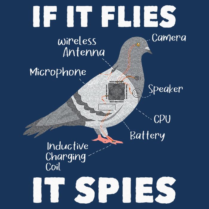 If It Flies It Spies Pigeon Whisperer Birdwatching Infant Baby Jersey Bodysuit