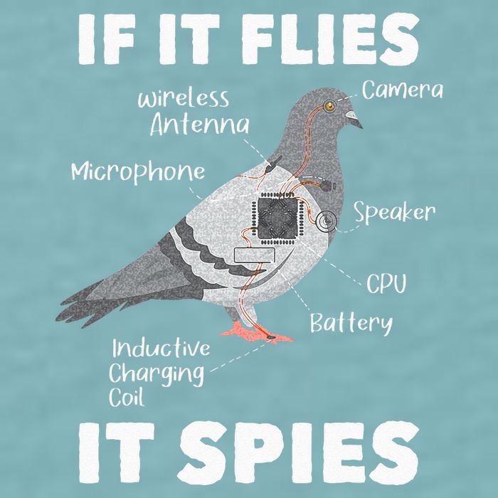 If It Flies It Spies Pigeon Whisperer Birdwatching Sueded Cloud Jersey T-Shirt