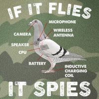 If It Flies It Spies Pigeon Anatomy Bird Funny Legacy Tie Dye Trucker Hat