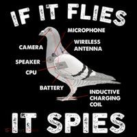 If It Flies It Spies Pigeon Anatomy Bird Funny Flexfit Unipanel Trucker Cap