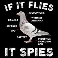 If It Flies It Spies Pigeon Anatomy Bird Funny Impact Tech Backpack
