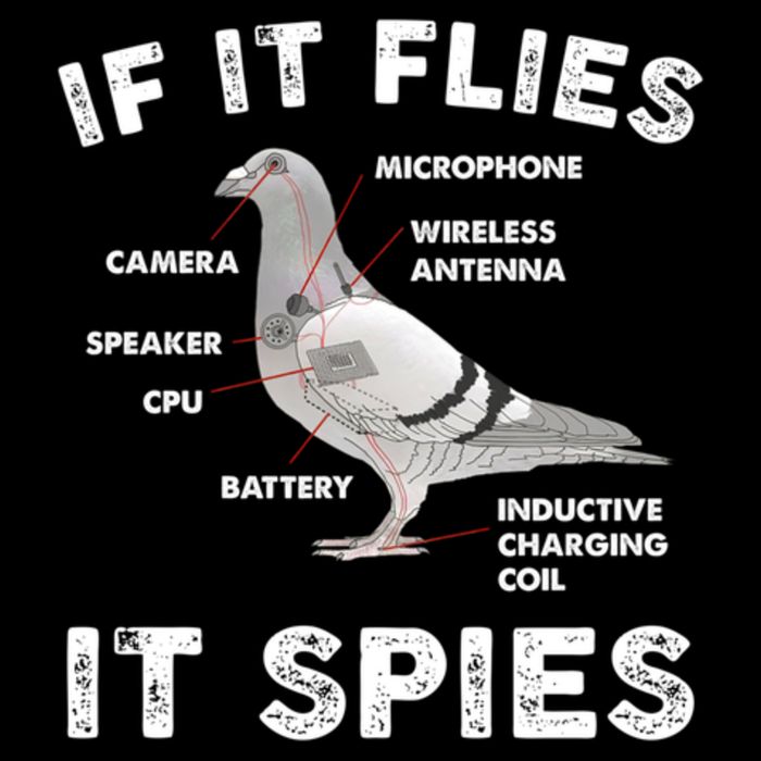 If It Flies It Spies Pigeon Anatomy Bird Funny Impact Tech Backpack