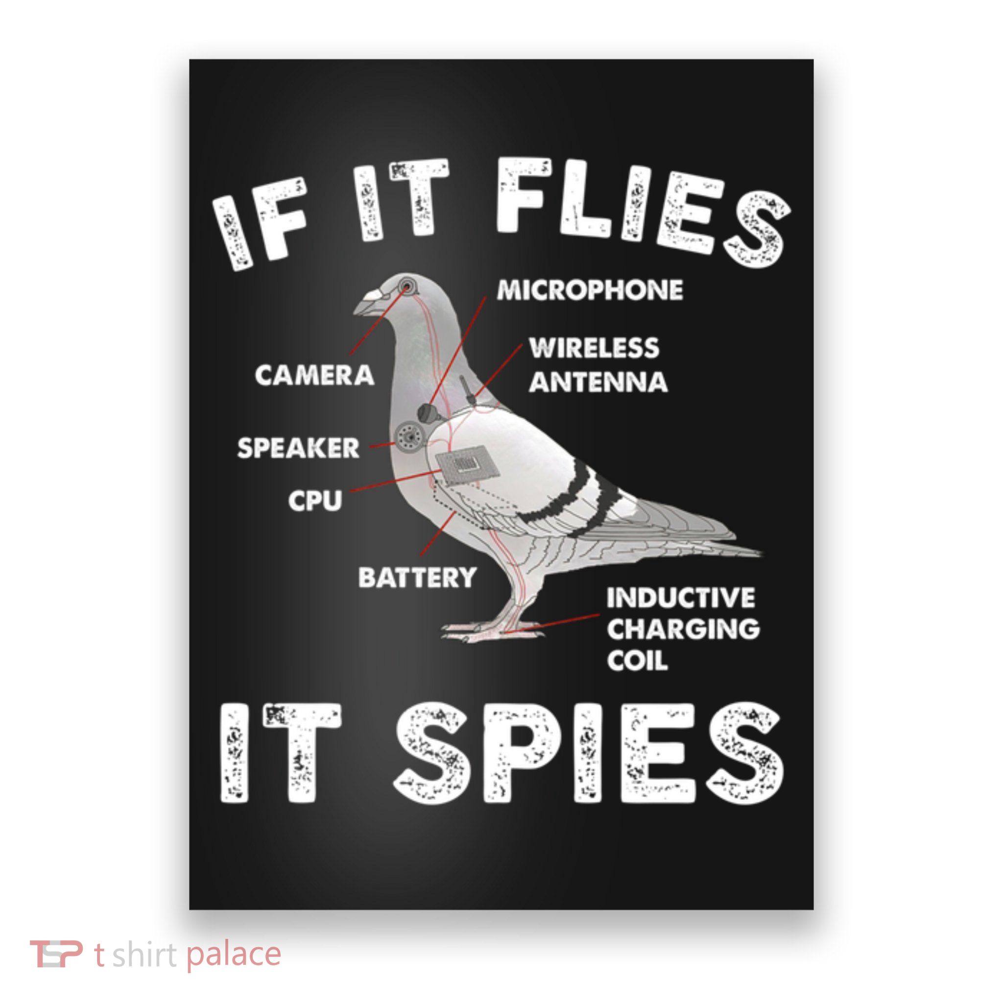 If It Flies It Spies Pigeon Anatomy Bird Funny Poster
