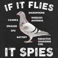 If It Flies It Spies Pigeon Anatomy Bird Funny Trucker Hat