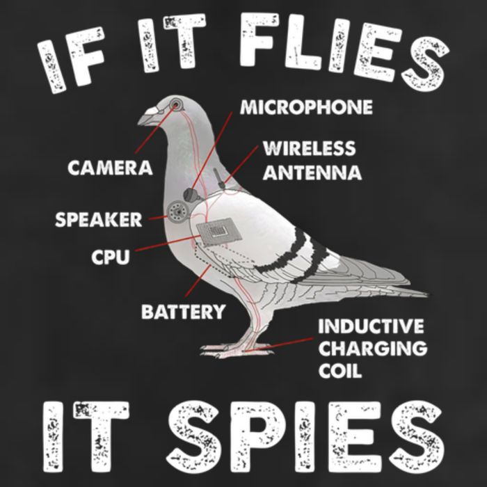 If It Flies It Spies Pigeon Anatomy Bird Funny Trucker Hat