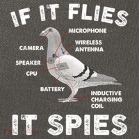 If It Flies It Spies Pigeon Anatomy Bird Funny Cotton Canvas Backpack