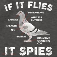 If It Flies It Spies Pigeon Anatomy Bird Funny Vector Backpack
