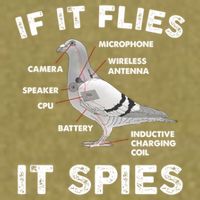 If It Flies It Spies Pigeon Anatomy Bird Funny Garment-Dyed Women's Muscle Tee