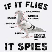If It Flies It Spies Pigeon Anatomy Bird Funny Garment-Dyed Sweatshirt