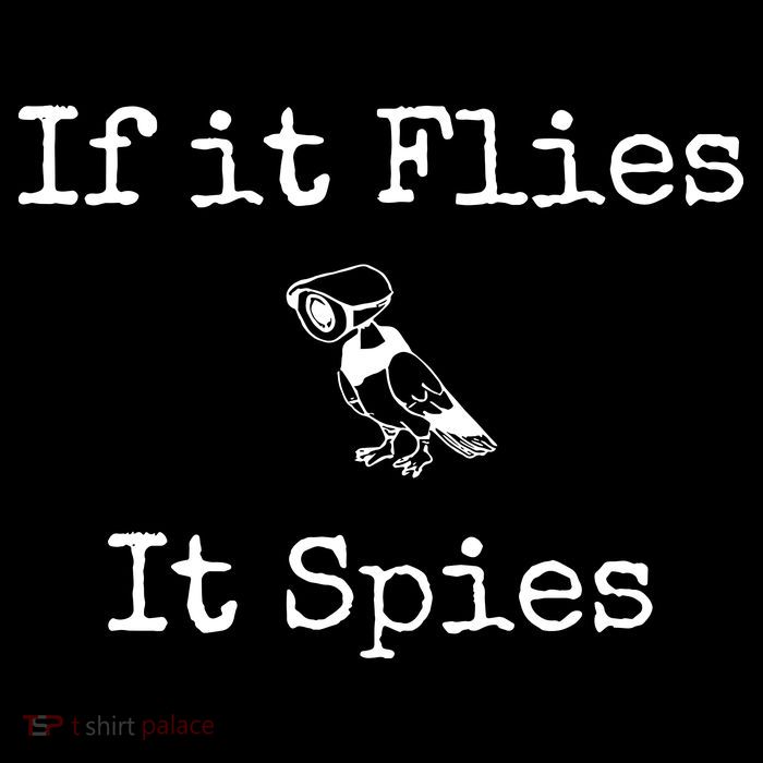 If It Flies It Spies Funny Bird Spy Flexfit Unipanel Trucker Cap