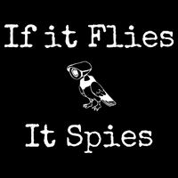 If It Flies It Spies Funny Bird Spy Hooded Wearable Blanket