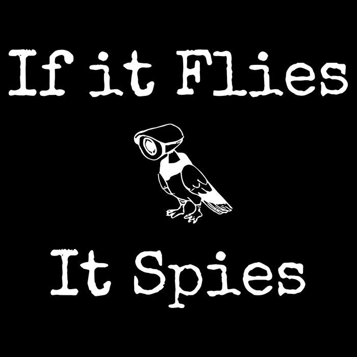 If It Flies It Spies Funny Bird Spy Hooded Wearable Blanket