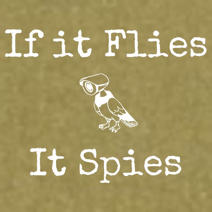 If It Flies It Spies Funny Bird Spy Garment-Dyed Women's Muscle Tee