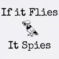 If It Flies It Spies Funny Bird Spy Cropped Pullover Crew
