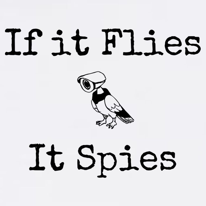 If It Flies It Spies Funny Bird Spy Cropped Pullover Crew