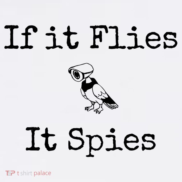 If It Flies It Spies Funny Bird Spy Wool Snapback Cap