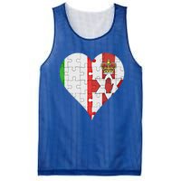 Italian Irish Flag Heart Gift Mesh Reversible Basketball Jersey Tank