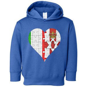 Italian Irish Flag Heart Gift Toddler Hoodie