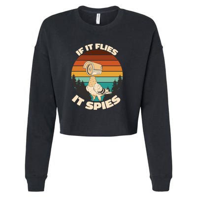 If It Flies It Spies Bird Watcher Government Spying Cropped Pullover Crew
