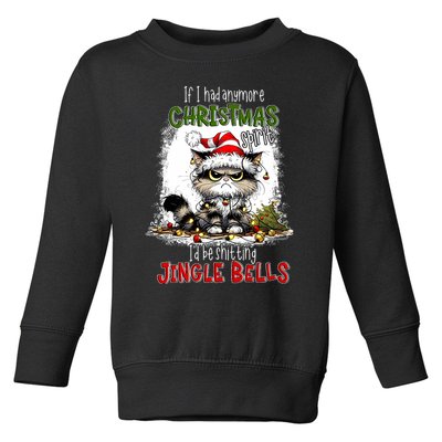 If I Had Anymore Christmas Spirit ID Be Shitting Jingle Toddler Sweatshirt