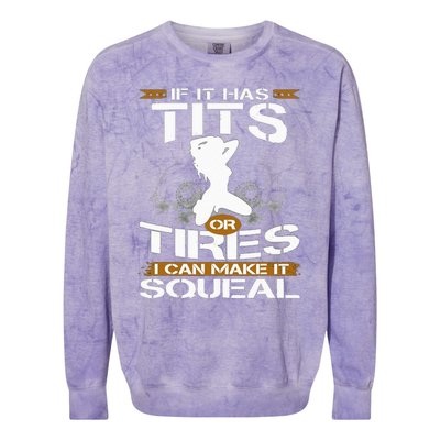 If It Has Tits Or Tires I Can Make It Squeal Mechanic Lover Colorblast Crewneck Sweatshirt