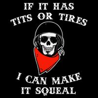 If It Has Tits Or Tires I Can Make It Squeal Funny 16 in Basic Backpack