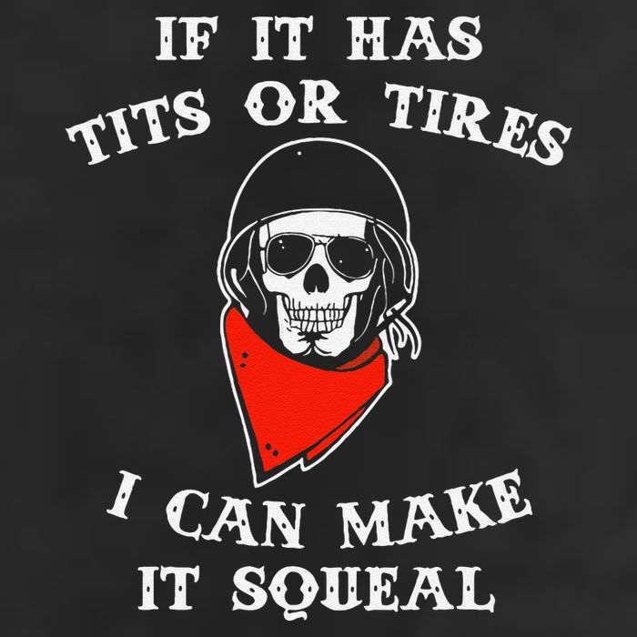 If It Has Tits Or Tires I Can Make It Squeal Funny Hat