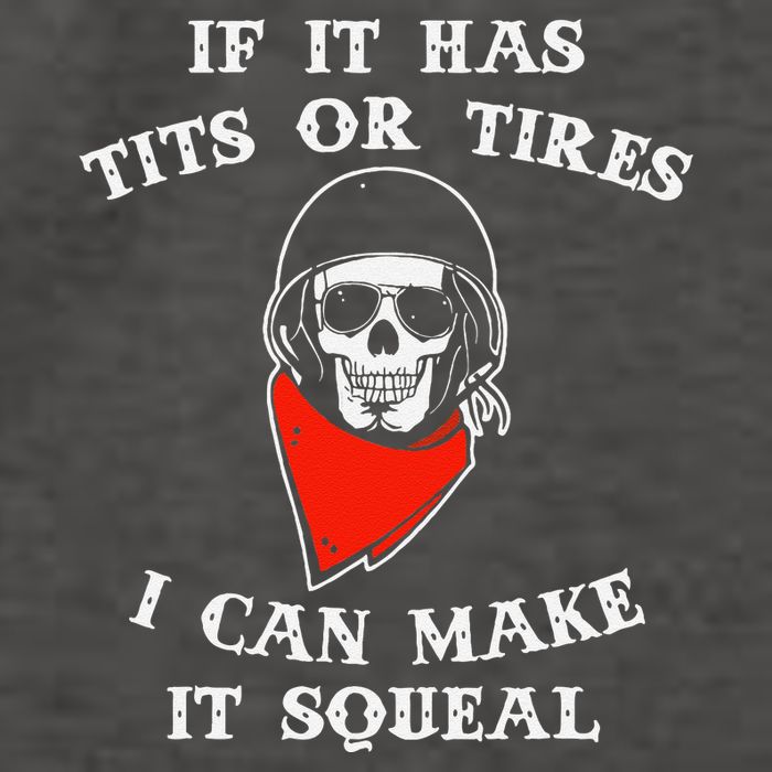 If It Has Tits Or Tires I Can Make It Squeal Funny Vector Backpack