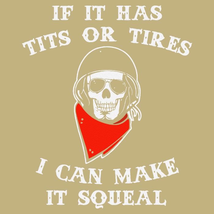 If It Has Tits Or Tires I Can Make It Squeal Funny T-Shirt