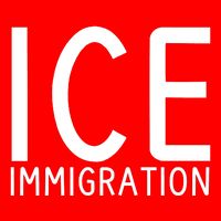 Ice Immigration Premium T-Shirt