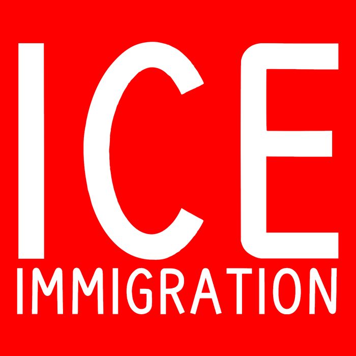 Ice Immigration Premium T-Shirt