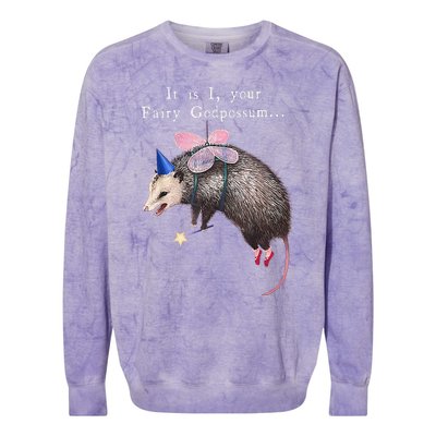 It Is I Your Fairy Godpossum Colorblast Crewneck Sweatshirt